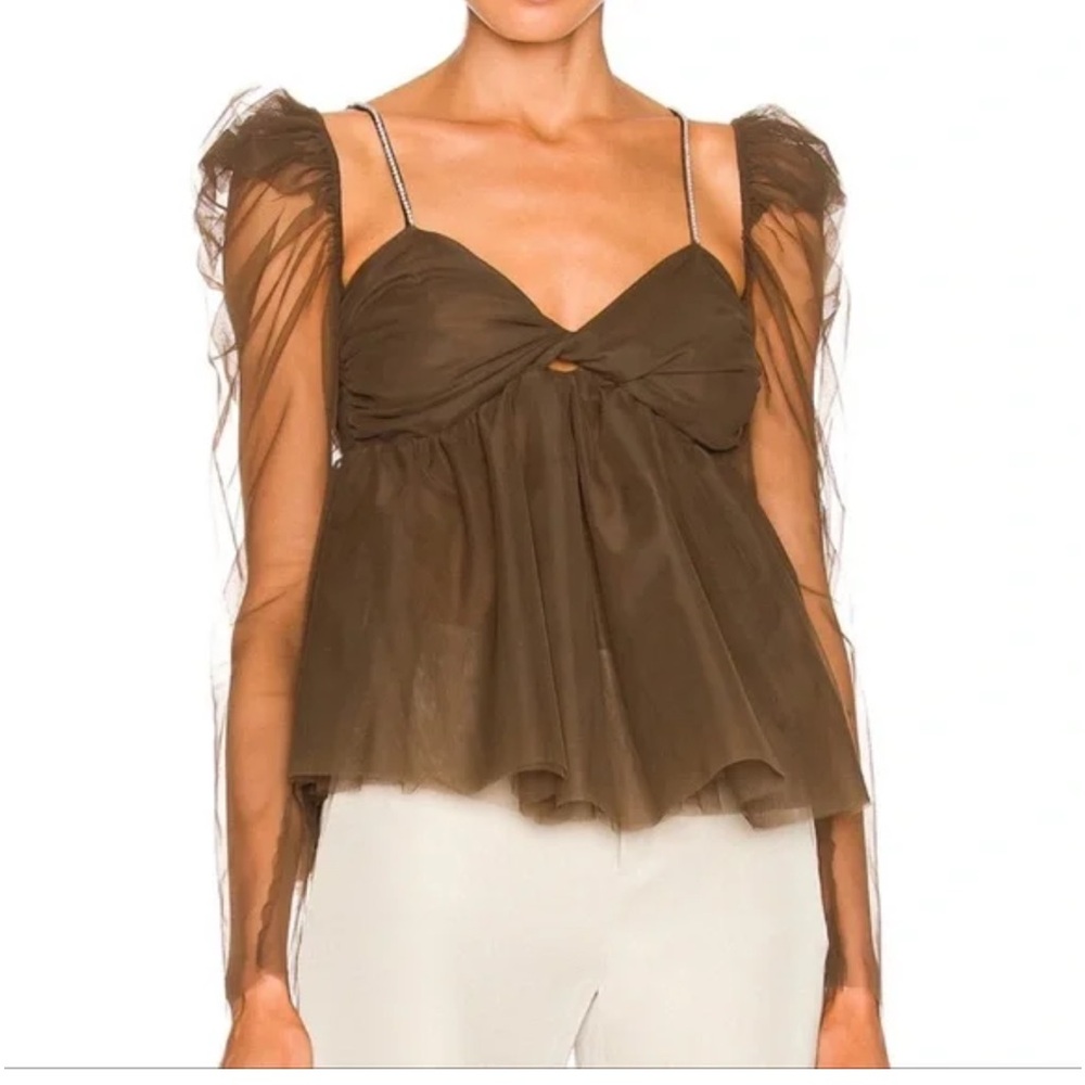 The Bar Brown Sheer Blouse